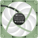 Thermaltake CT120 Reverse ARGB Sync PC Cooling Fan Matcha Green, Ventola verde chiaro