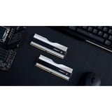 G.Skill DIMM 32 GB DDR5-7600 (2x 16 GB) Dual-Kit, Memoria argento