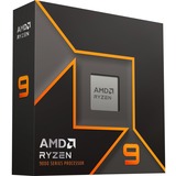 Ryzen™ 9 9900X, Processore