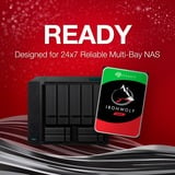 Seagate IronWolf NAS 2 x 4 TB Bundle, Hard-disk 