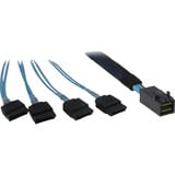 Inter-Tech Cavo SFF 8643 > 4x SATA Nero/Blu