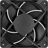 ARCTIC P12 Pro LN, Ventola Nero