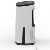 Meaco Dry Arete Two 20L Deumidificatore a compressore e purificatore d'aria bianco/Nero