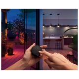 Philips Hue Tap dial switch, Pulsante Nero, Philips Tap dial switch, Wireless, Nero, Indipendente/a parete, IP20, Plastica, IP20