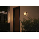 Philips Hue White & Color Ambiance Daylo Applique da esterno, Luce LED argento, Philips Hue White and Color ambiance Lampada a parete da esterno Daylo, Illuminazione da parete da esterno, Bluetooth/Zigbee, Acciaio inox, LED, Acciaio inox, Lampadina/e non sostituibile/i