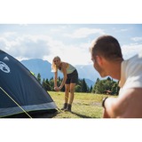 Coleman Tenda a cupola per 3 persone Darwin 3 grigio/verde chiaro