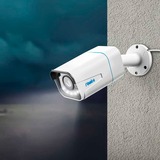 Reolink P430 Pallottola (forma) Telecamera di sicurezza IP Interno e esterno 3840 x 2160 Pixel Parete, Telecamera di sorveglianza bianco, Telecamera di sicurezza IP, Interno e esterno, Cablato, Google Assistant, Parete, Bianco