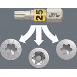 Wera Bit-Check 12 Wood TX HF 1, Set di bit 