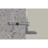 fischer Ancoraggio ad alte prestazioni FH II 12/50 S, Tassello 