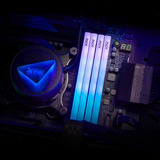 ADATA DIMM 16 GB DDR5-6000, Memoria bianco