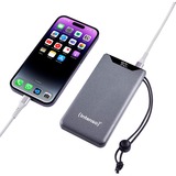 Intenso Powerbank F10000 Grigio grigio
