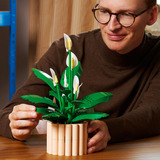 LEGO Botanicals Spatifillo, Giochi di costruzione 