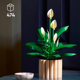 LEGO Botanicals Spatifillo, Giochi di costruzione 