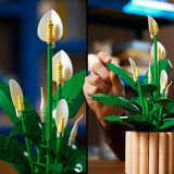 LEGO Botanicals Spatifillo, Giochi di costruzione 