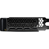 Palit GeForce RTX 5050 Dual 8GB, Scheda grafica 