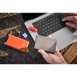 Intenso Powerbank F10000 Arancione arancione 