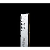 Kingston FURY FURY Beast 32 GB 5600 MT/s DDR5 CL36 DIMM White EXPO, Memoria bianco, 32 GB, 1 x 32 GB, DDR5, 288-pin DIMM