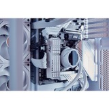 Kingston FURY FURY Beast 32 GB 5600 MT/s DDR5 CL36 DIMM White EXPO, Memoria bianco, 32 GB, 1 x 32 GB, DDR5, 288-pin DIMM
