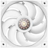 DeepCool FT12 WH 120x120x25, Ventola bianco