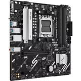 ASUS PRIME A620AM-A-CSM, Scheda madre 