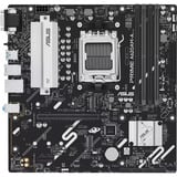 ASUS PRIME A620AM-A-CSM, Scheda madre 