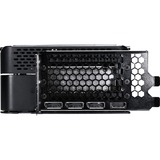 Gainward GeForce RTX 5090 Phantom, Scheda grafica 