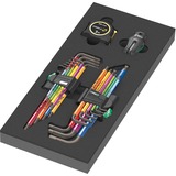 Wera Inserto in schiuma set di chiavi a brugola 1, 20 pezzi, Cacciavite Nero/grigio