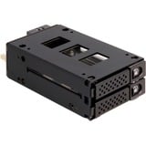 DeLOCK Cornice sostituibile Slim Bay per 2 x 2,5″ U.2 NVMe SSD, Disk enclosure 