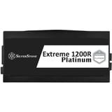 SilverStone SST-EX1200R-PL, Alimentatore PC 