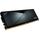 ADATA Lancer memoria 32 GB 1 x 32 GB DDR5 288-pin DIMM Data Integrity Check (verifica integrità dati) Nero, 32 GB, 1 x 32 GB, DDR5, 6400 MHz, 288-pin DIMM