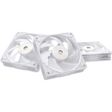 ASUS ProArt PF120, Ventola bianco