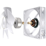 ASUS ProArt PF120, Ventola bianco