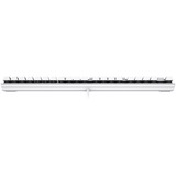 CHERRY KC 200 MX tastiera Universale USB QWERTZ Tedesco Argento, Bianco bianco/Argento, Full-size (100%), Cablato, USB, Interruttore a chiave meccanica, QWERTZ, Argento, Bianco