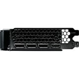 Gainward GeForce RTX 5060 Ghost 8GB, Scheda grafica 
