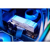 Kingston FURY FURY Beast 64 GB 5600 MT/s DDR5 CL36 DIMM (Kit da 2 moduli) White RGB EXPO, Memoria bianco, 64 GB, 2 x 32 GB, DDR5, 288-pin DIMM