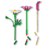 LEGO Botanicals Kosmeen, Giochi di costruzione 