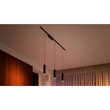 Philips Hue Perifo kit con 3 lampade a sospensione, Lampada Nero, Philips Hue White and Color ambiance Perifo kit con 3 lampade a sospensione, Luce a sospensione intelligente, Bluetooth/Zigbee, Nero, LED, Metallo, Sintetico, Lampadina/e non sostituibile/i