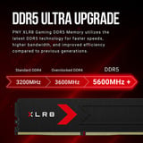 PNY DIMM 64 GB DDR5-6000 (2x 32 GB) Kit duale, Memoria Nero