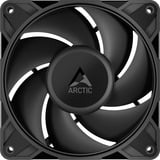ARCTIC P12 Pro PST LN, Ventola Nero