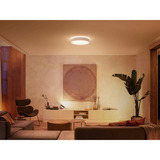 Philips Hue Lampada da soffitto White Ambiance Enrave L, Luce LED bianco