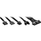 Sharkoon Rebel P10 750 Watt, Alimentatore PC Nero