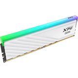 ADATA DIMM 16 GB DDR5-6000, Memoria bianco, 16 GB, 1 x 16 GB, DDR5, 288-pin DIMM, Bianco