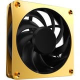 Alphacool Apex Stealth Metal 120mm Ventola 2000rpm oro/Nero