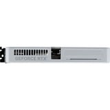 Palit GeForce RTX 5060 Ti OC WHITE 8GB, Scheda grafica bianco