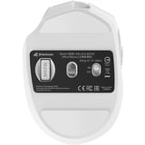 Sharkoon OfficePal M25W, Mouse bianco