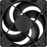 ARCTIC P14 Pro Reverse, Ventola Nero, Ventilatore, 14 cm, 166,5 m³/h, Nero