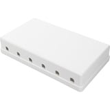 Digitus Custodia punto di consolidamento, per 6 moduli Keystone, Housing bianco