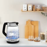 Tefal Vetro, Bollitore trasparente/Argento
