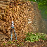GARDENA Cesoia per rami EnergyCut Pro S, Potatore grigio/Turchese