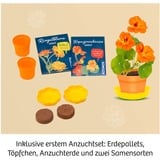 KOSMOS Pressa per fiori, Casella di esperimento 